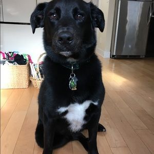 Meet your Posher, Kate